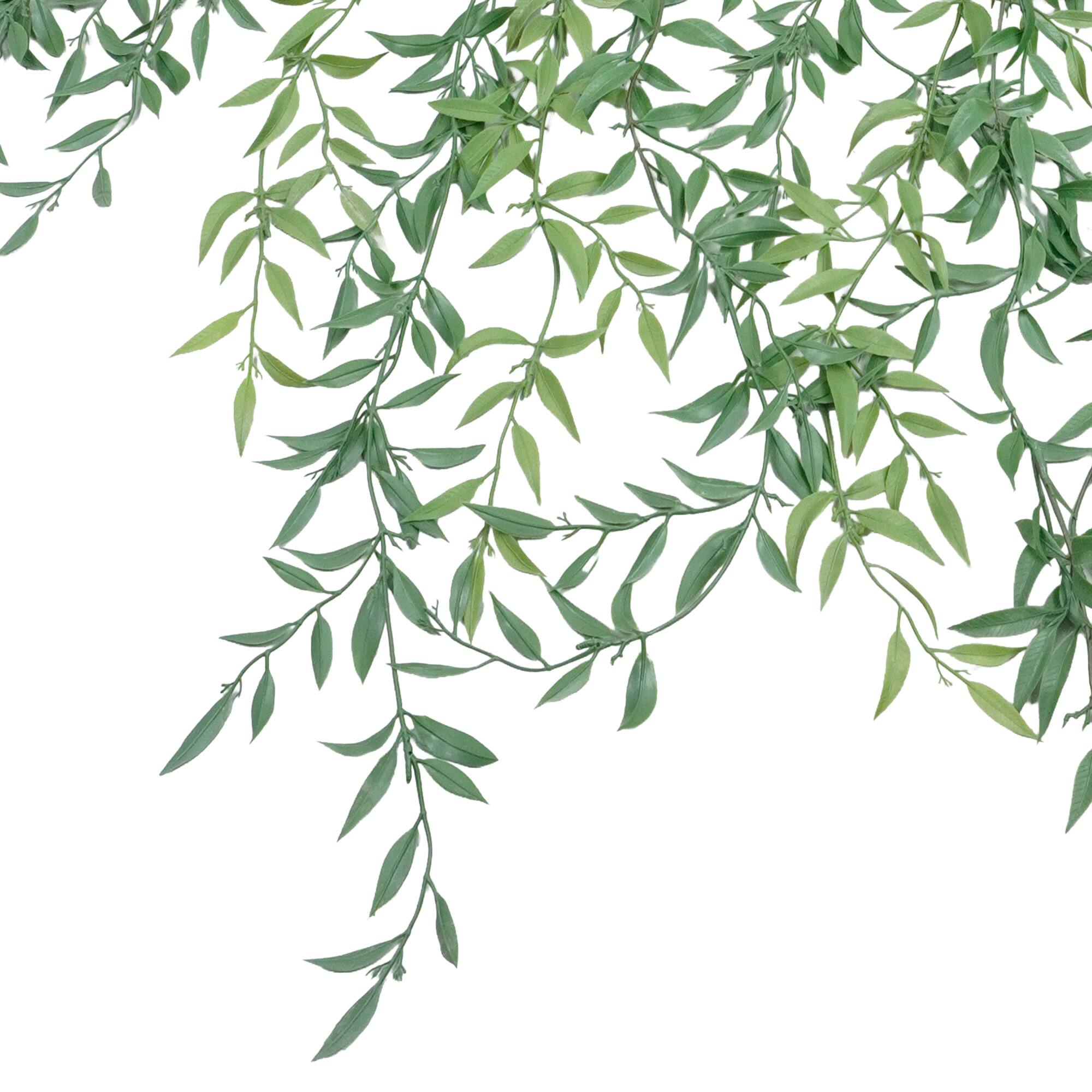 6ft. Dripping Ruscus Garland by Ashland®